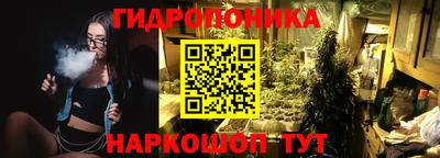 молекула духа Новозыбков