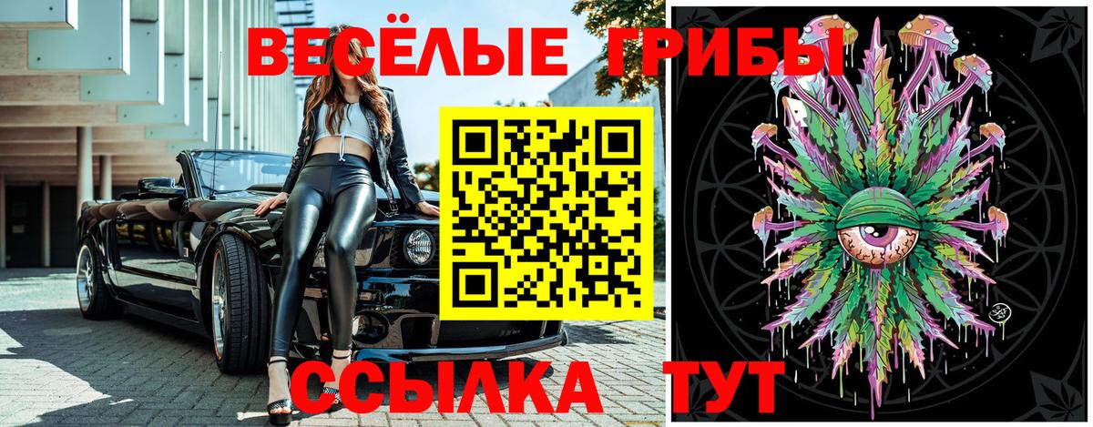 Псилоцибиновые грибы мицелий  Вход с VPN  Туймазы 
