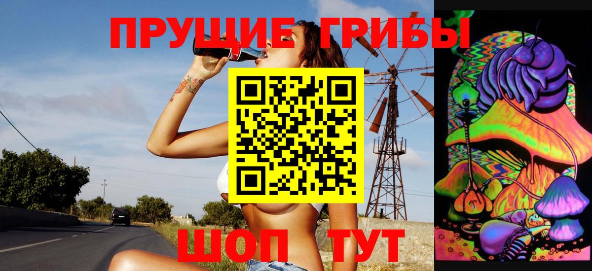 Псилоцибиновые грибы прущие грибы Туймазы